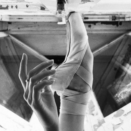 photo by Darian Volkova photo by Darian Volkova
