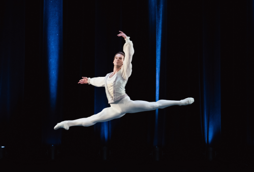 Dmitry Zagrebin - Bailarín principal Dmitry Zagrebin - Bailarín principal