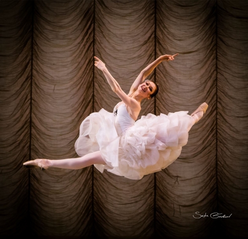 Elena Evseeva Elena Evseeva