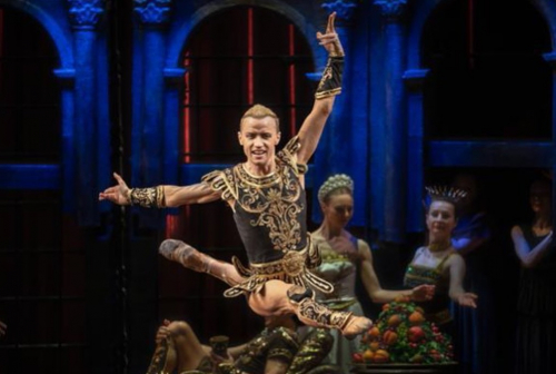 Denis Matvienko - ballet star Denis Matvienko - ballet star