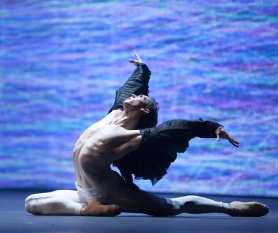 James Stout - Ballet Artist James Stout - Ballet Artist
